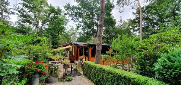 Ruim en sfeervol 6 persoons chalet op Bospark Dennenrhode – midden in de natuur